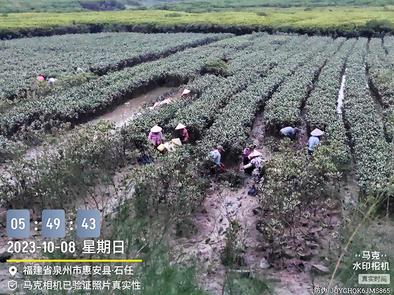 Home-富联平台-职能壮大注册更单一
