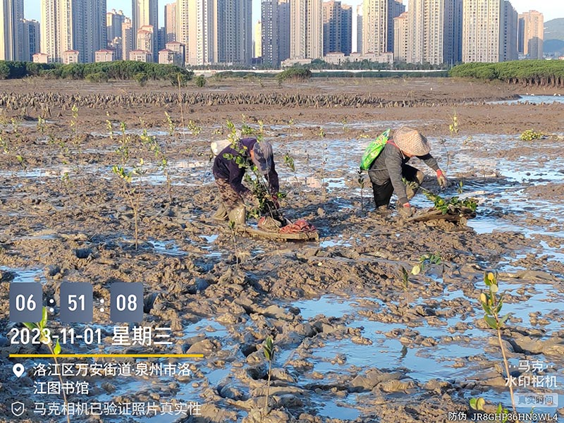 Home-富联平台-职能壮大注册更单一