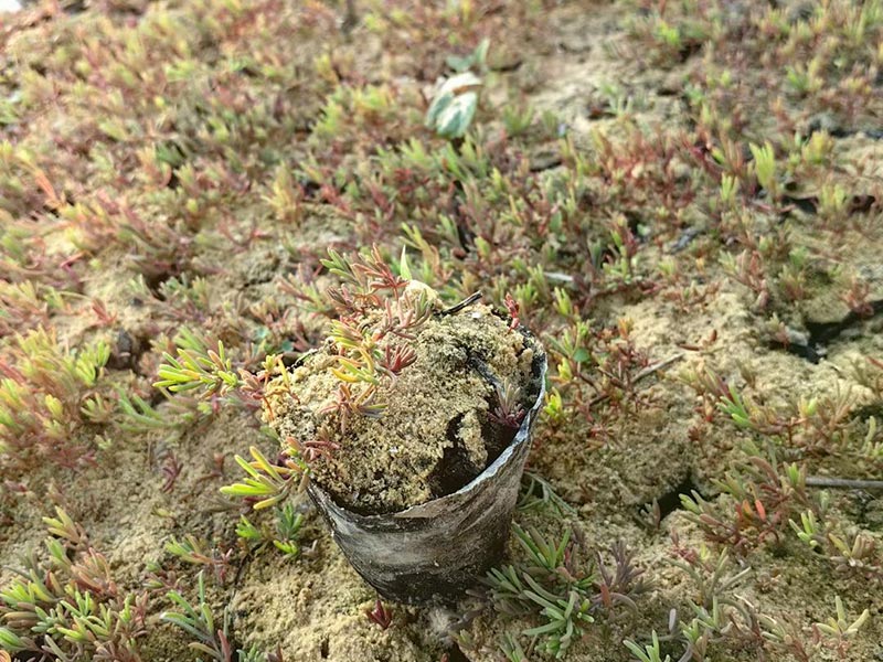 Home-富联平台-职能壮大注册更单一