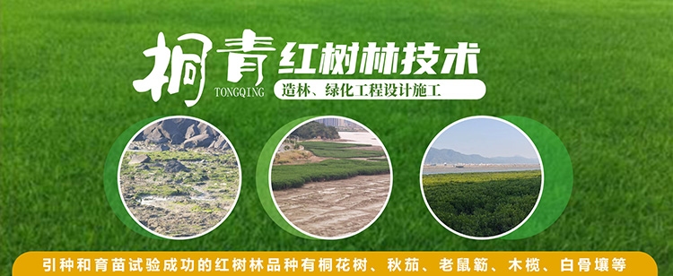 Home-富联平台-职能壮大注册更单一