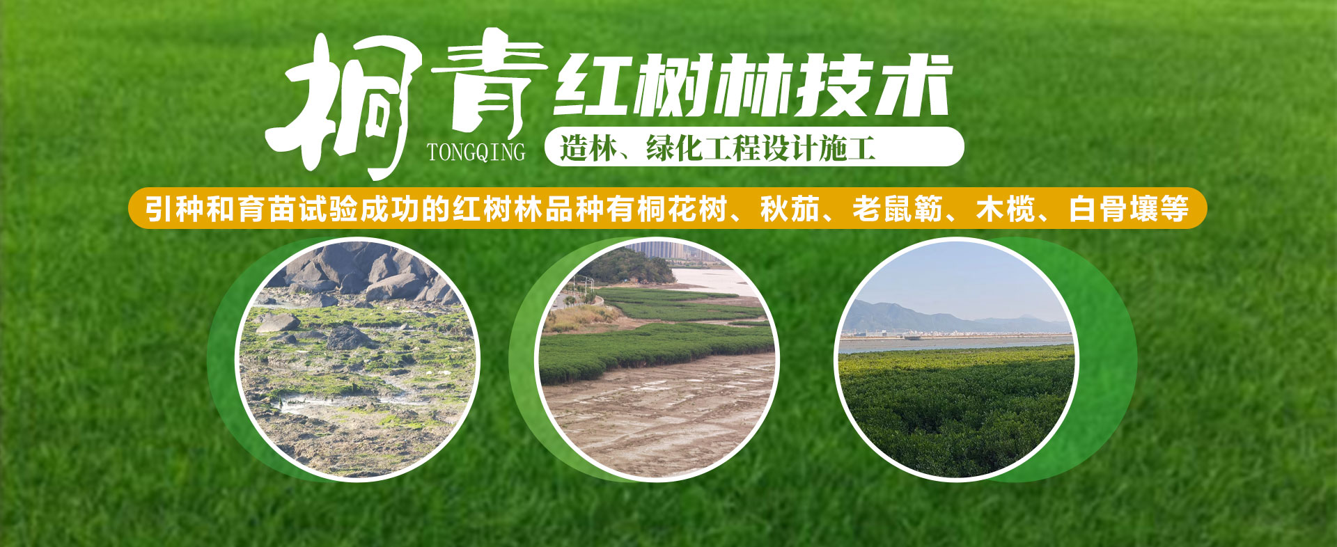 Home-富联平台-职能壮大注册更单一